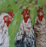 Tři slepičí drbny / Three Chicken Gossips